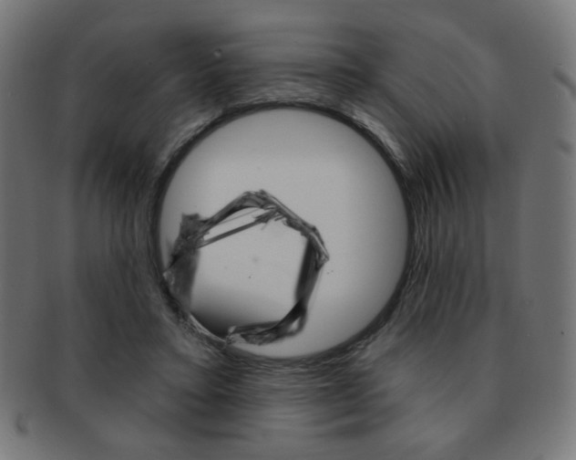 X0000092010403200709061313