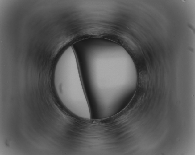 X0000092010404200709061313
