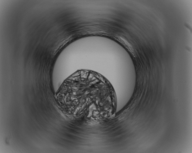 X0000092010405200709061313