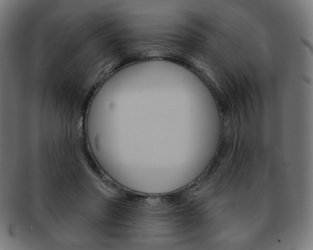 X0000092010406200709061313