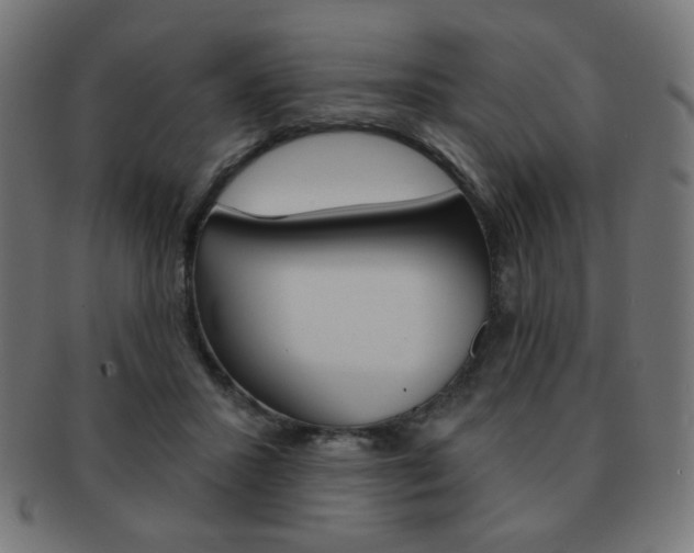 X0000092010407200709061313