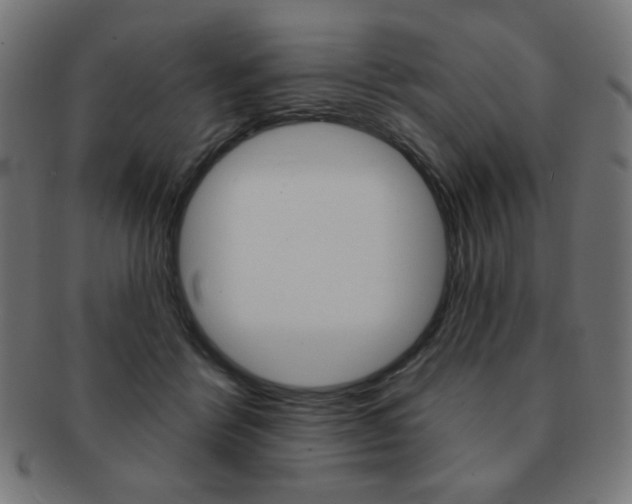 X0000092010412200709061313