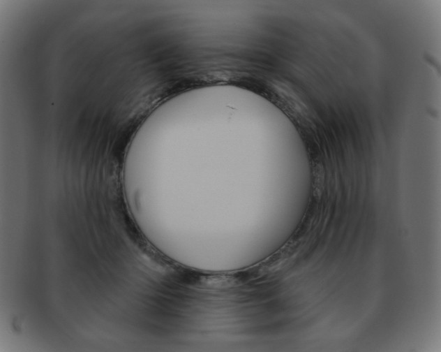 X0000092010414200709061313
