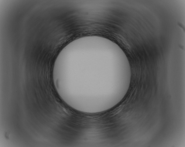 X0000092010416200709061313