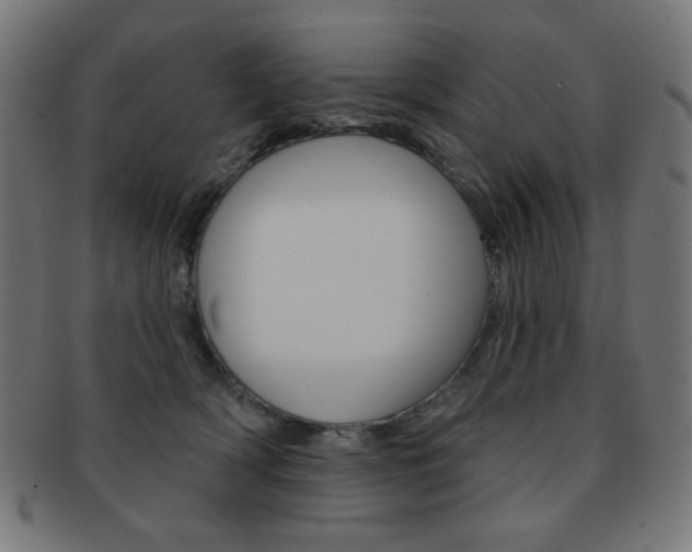 X0000092010418200709061313