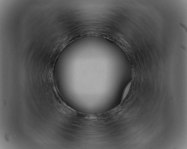 X0000092010419200709061313