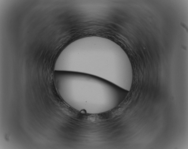 X0000092010420200709061313