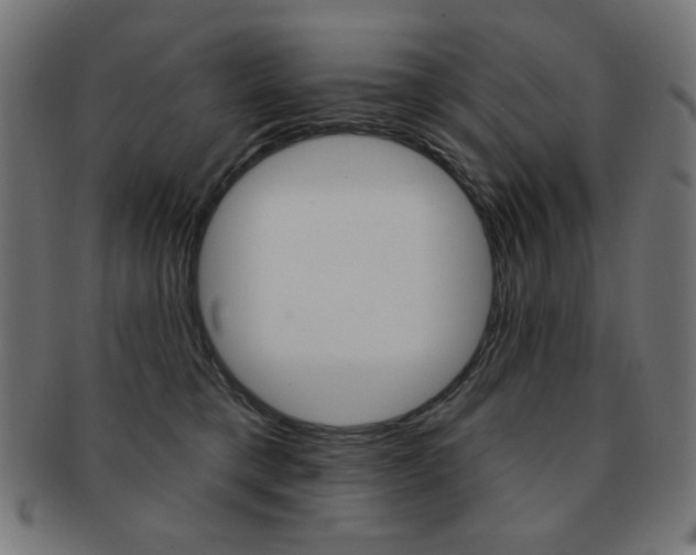 X0000092010421200709061313