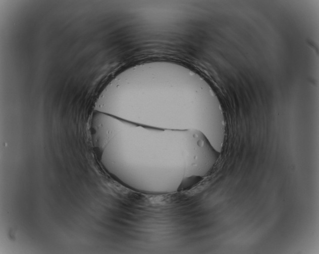 X0000092010423200709061313