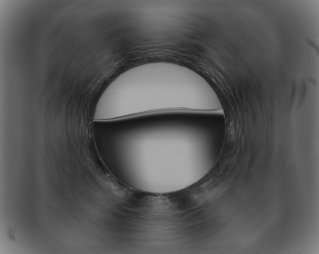 X0000092010424200709061313