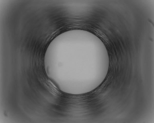 X0000092010425200709061313