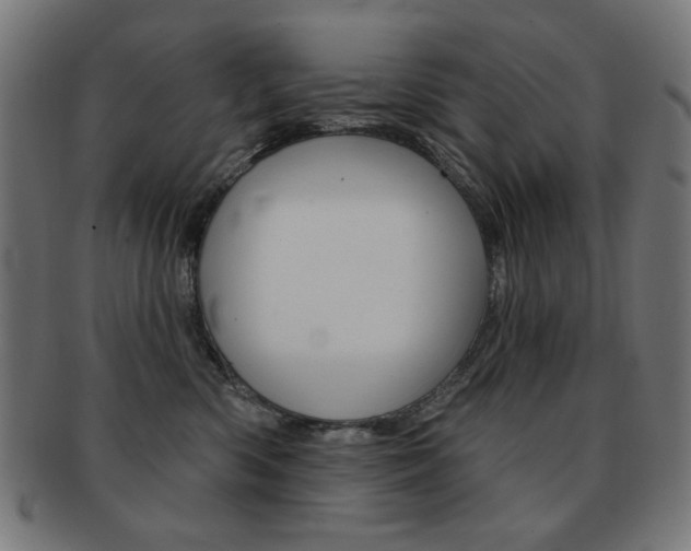 X0000092010426200709061313