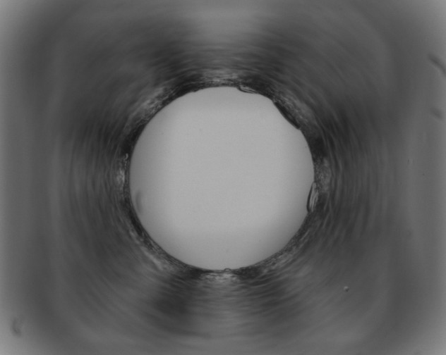 X0000092010427200709061313