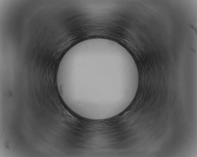 X0000092010428200709061313