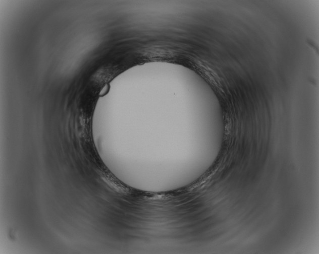 X0000092010430200709061313