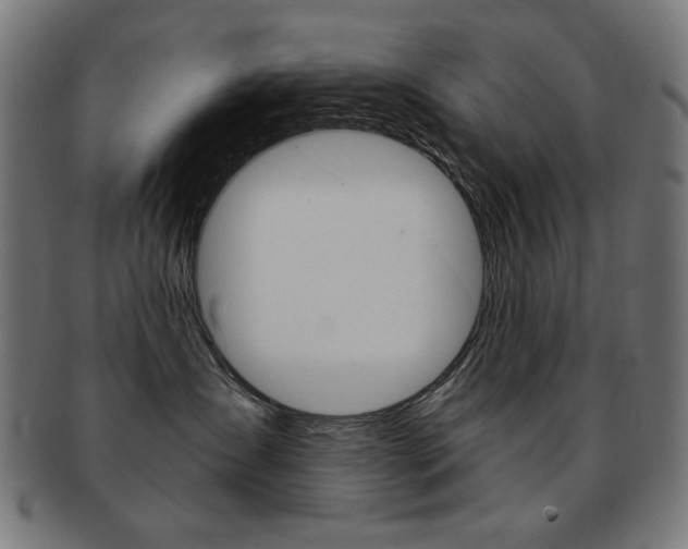 X0000092010431200709061313