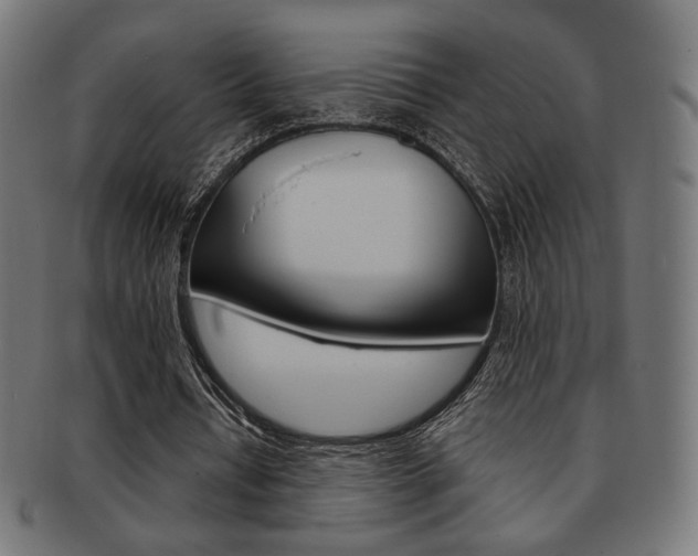 X0000092010434200709061312