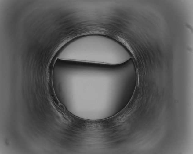 X0000092010435200709061312