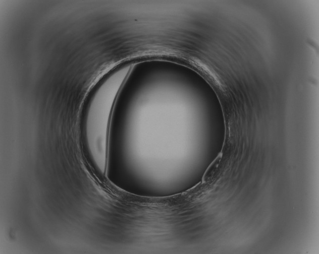 X0000092010436200709061312