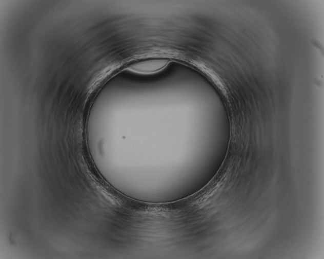 X0000092010437200709061312