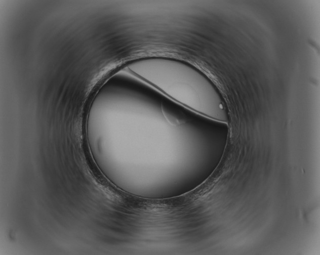 X0000092010438200709061312