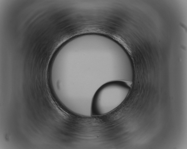 X0000092010439200709061312