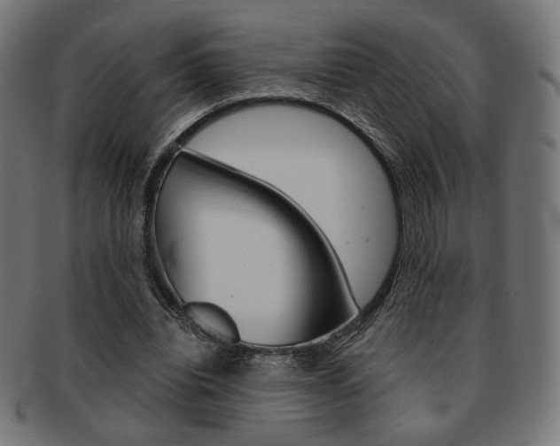 X0000092010440200709061312