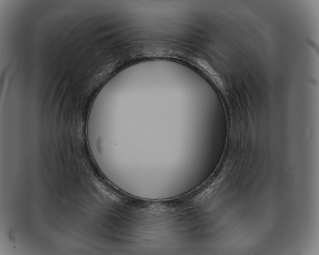 X0000092010441200709061312