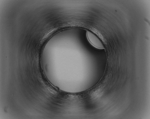 X0000092010442200709061312