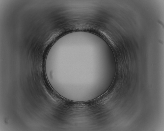 X0000092010443200709061312