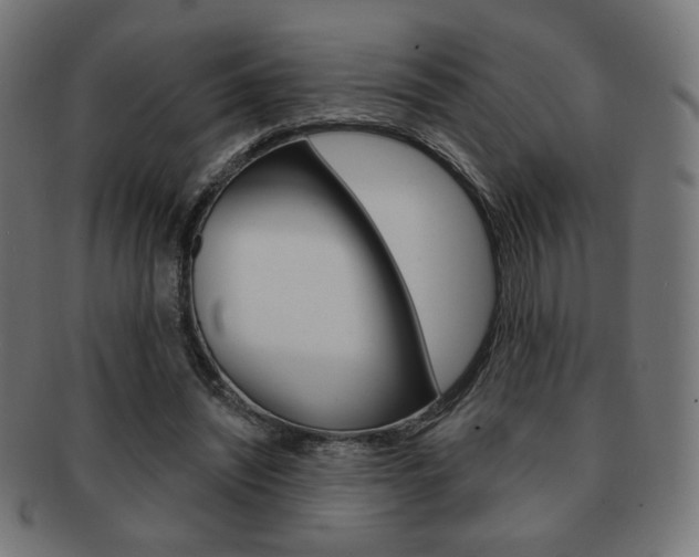 X0000092010444200709061312