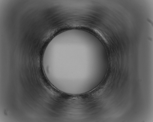 X0000092010447200709061312