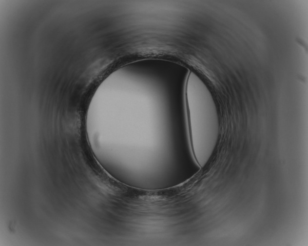 X0000092010448200709061312