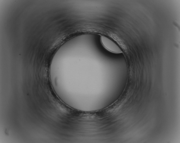 X0000092010449200709061312