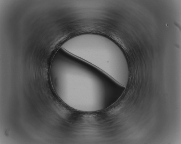 X0000092010450200709061312