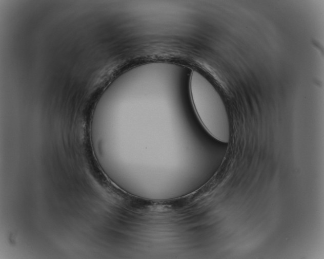 X0000092010451200709061312
