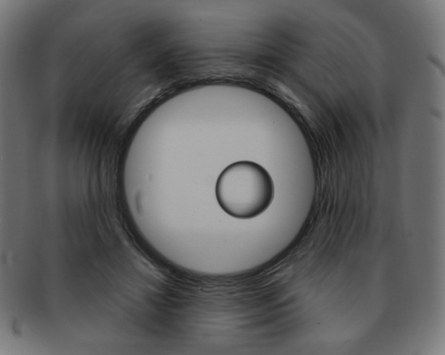 X0000092010452200709061312