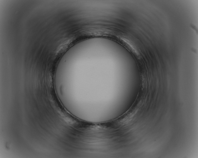 X0000092010453200709061312