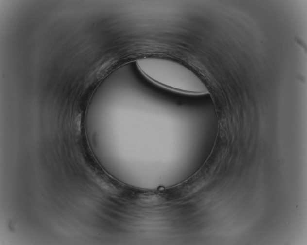 X0000092010454200709061312