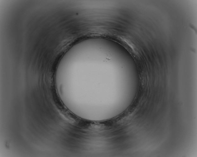 X0000092010455200709061312