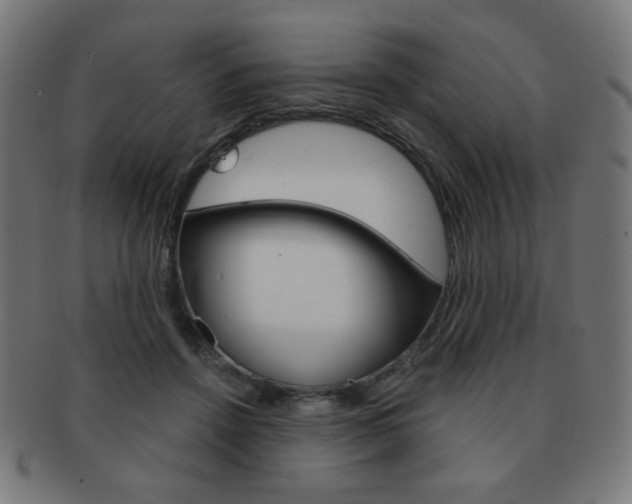 X0000092010456200709061312