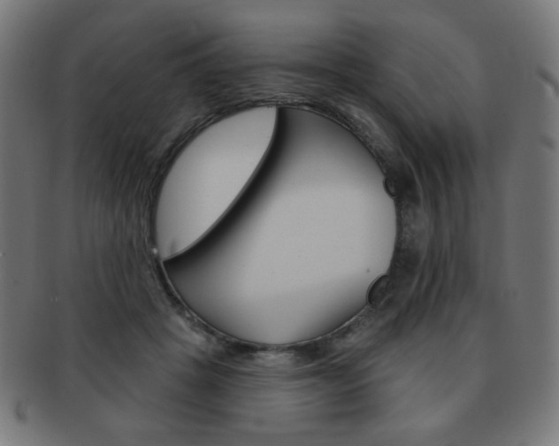 X0000092010457200709061312