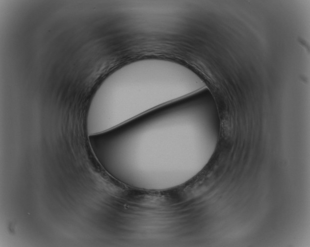 X0000092010458200709061312