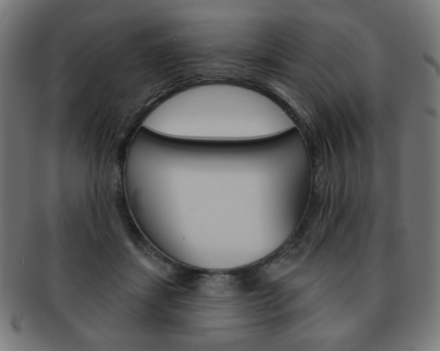 X0000092010459200709061312