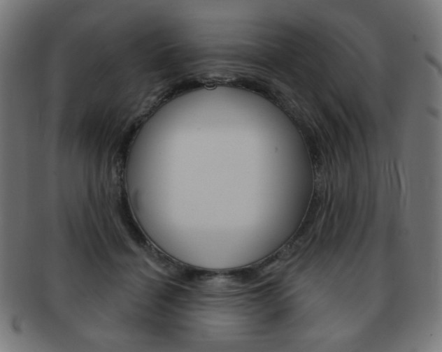 X0000092010460200709061312
