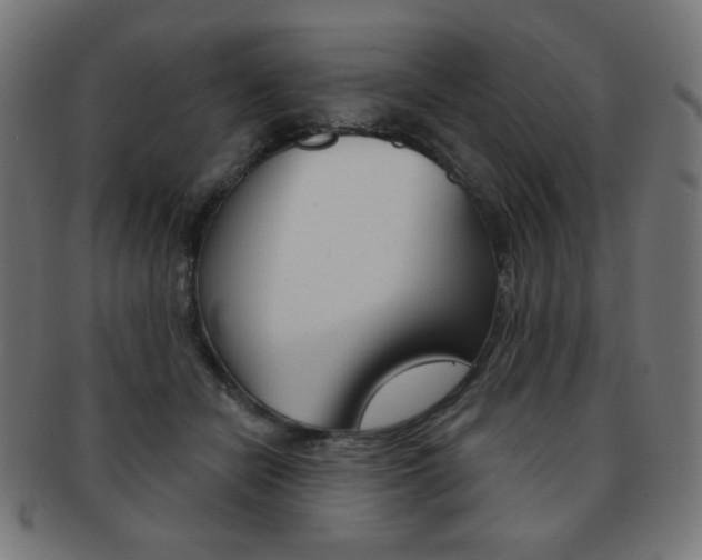 X0000092010462200709061312