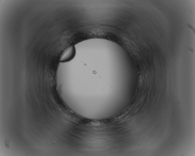 X0000092010464200709061312