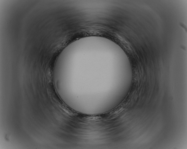 X0000092010465200709061312