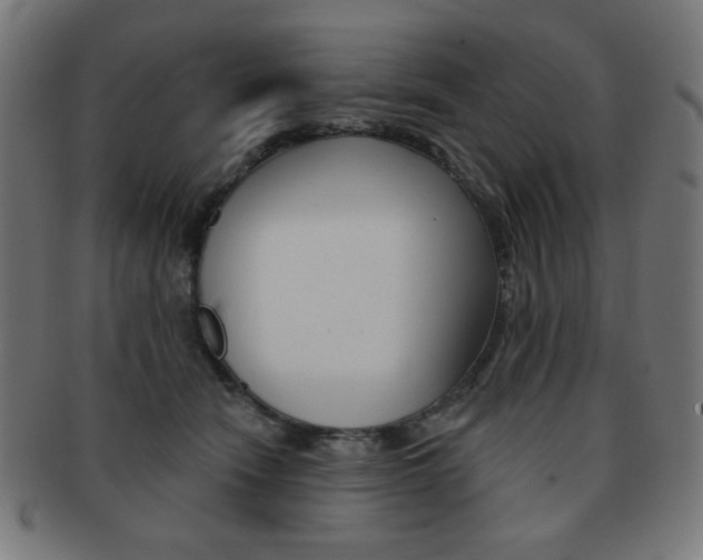 X0000092010466200709061312