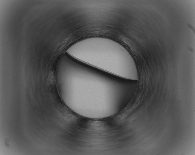 X0000092010467200709061313